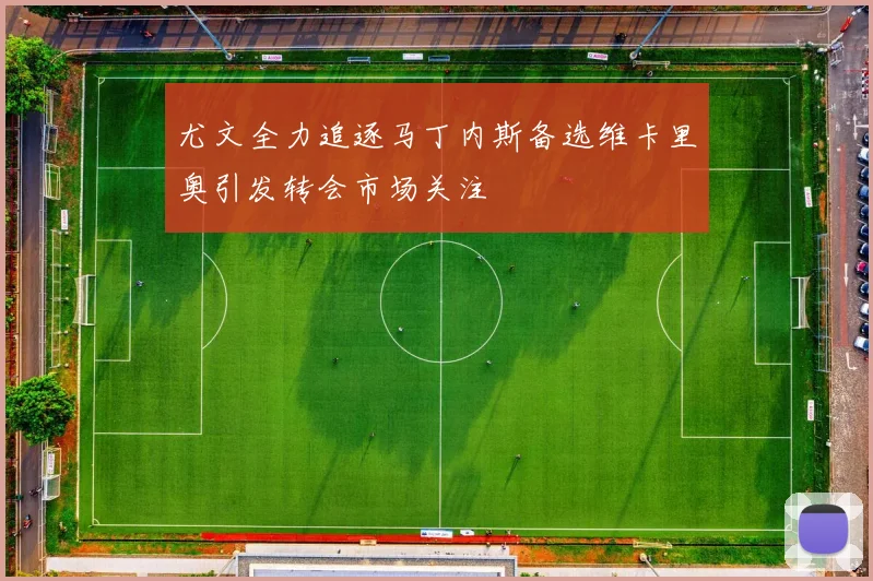 尤文全力追逐马丁内斯备选维卡里奥引发转会市场关注